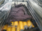 Industrial use Polyurethane (PU) rubber roller
