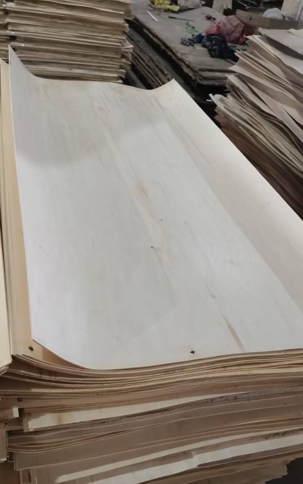 Natural Poplar Wood Veneer FSC Certified & Eudr Compliant for Furniture, Cabinetry & Decorative Panels