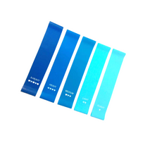 Latex Resistance Bands Set, Exercise Workout Bands Non Slip Gym Elastic Yoga Bands for Women and Men Sports Band for Strength Training Fitness