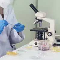 فحص المنتج النهائي