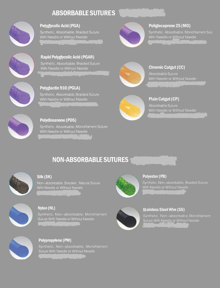 Surgical Suture with Needle
