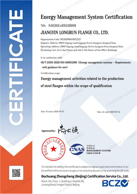 Longrun-ISO50001-Energy management