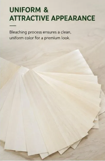 Eudr Fsc Certificate Bleached Natural Poplar Veneer White Poplar Wood Veneer
