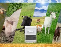 //a0.leadongcdn.com/cloud/prBqnKmmSRmlklqijqkm/Mycotoxin-Sequestrant_703_550.webp