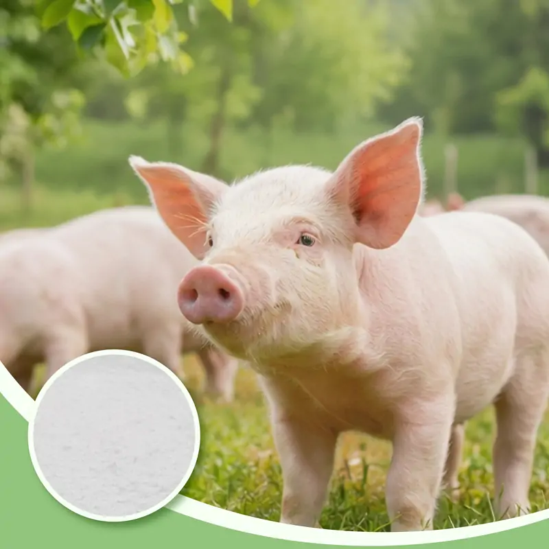 Crecimiento saludable