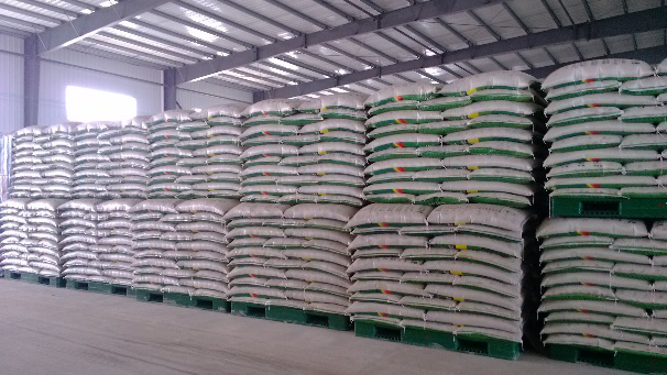 Contenido del art&iacute;culo