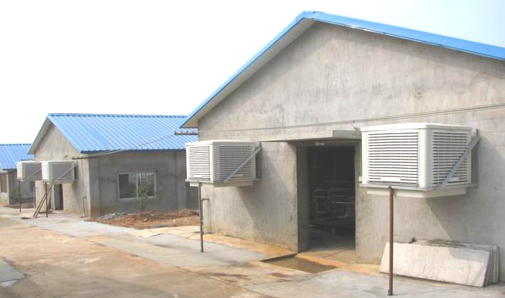 Greenhouse and chicken house used portable energy saving Evaporative Air cooler
