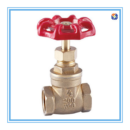 OEM Parts for Lead-free Brass Gate Valve
