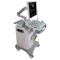 B-Ultrasound Scanner Machine (Model HY6000PRO)