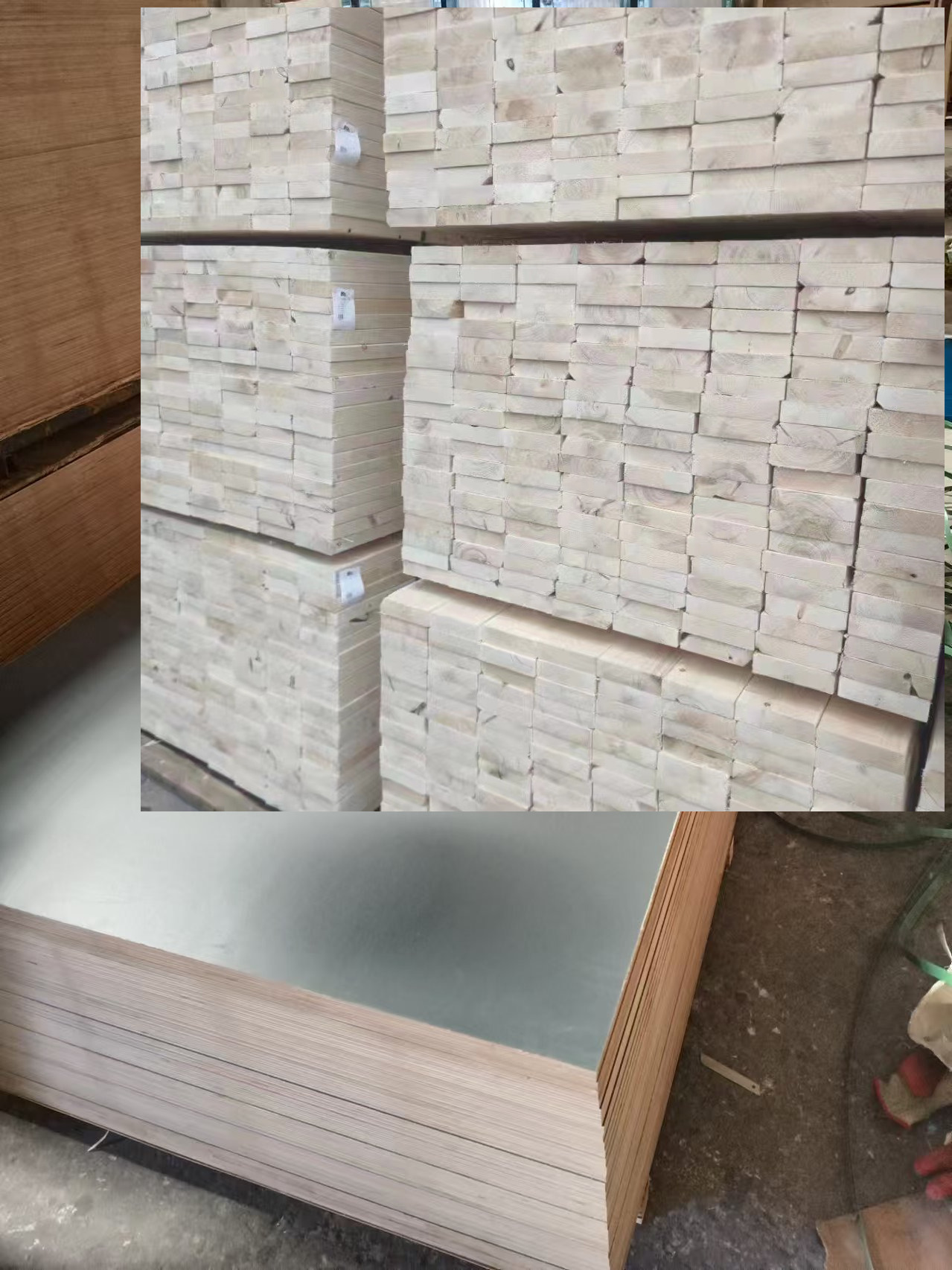 PET plywood