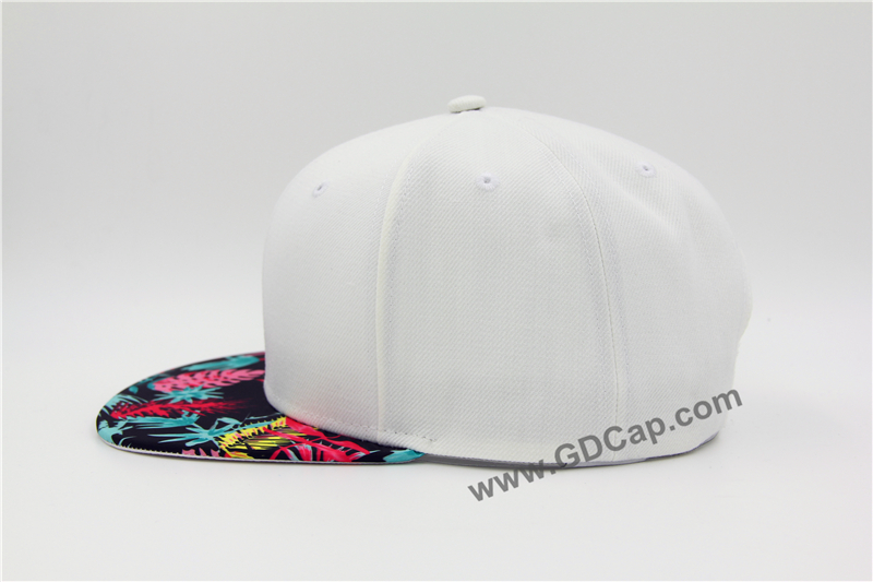 Snapback Cap033