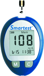 Blood Glucose Monitoring System (model 2808)