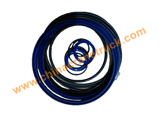 XCMG QY100K telescopic cylinder seal.png