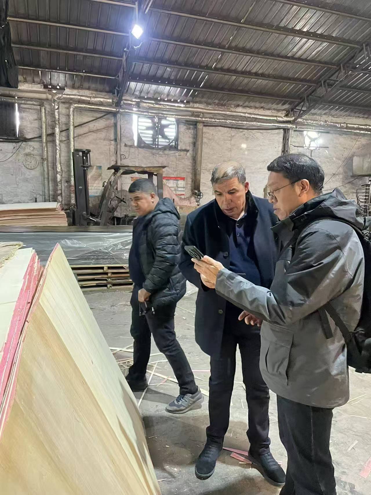 Plywood Buyers From Algeria
