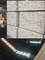 combi core PET finish plywood