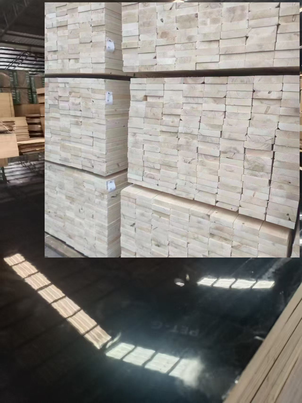 combi core PET finish plywood