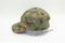 Baseball Cap127