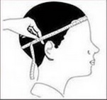 HEAD.jpg
